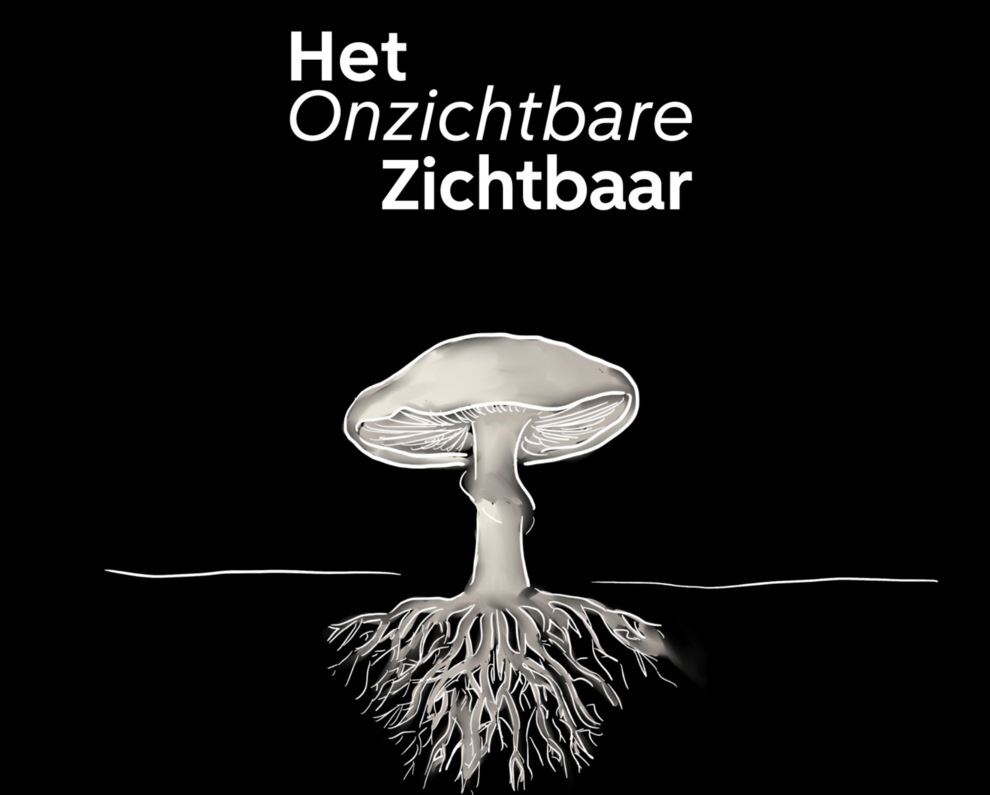 Nieuws